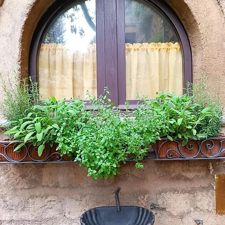 Casa Con Giardino Due Passi Dal Duomo Orvieto