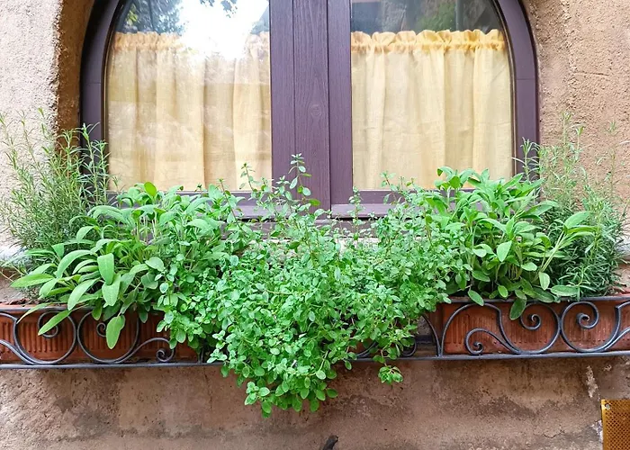 Casa Con Giardino Due Passi Dal Duomo Orvieto